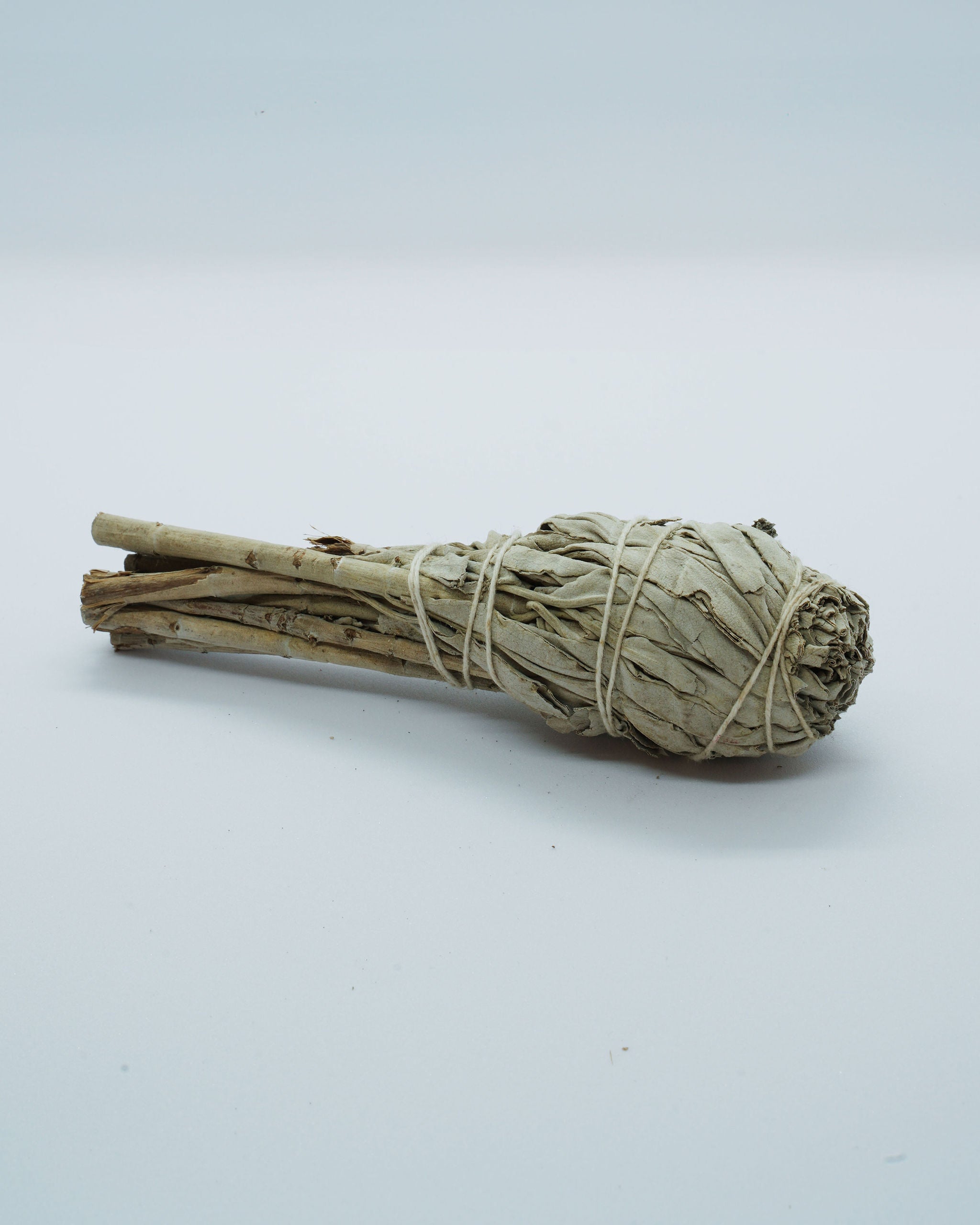 Mexican White Salvia – Sacred Cleansing Herb